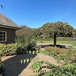 Move Quiet Place With Beautiful Nature